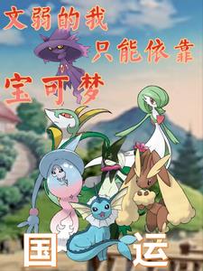 用宝可梦打国运队友是岩王帝姬